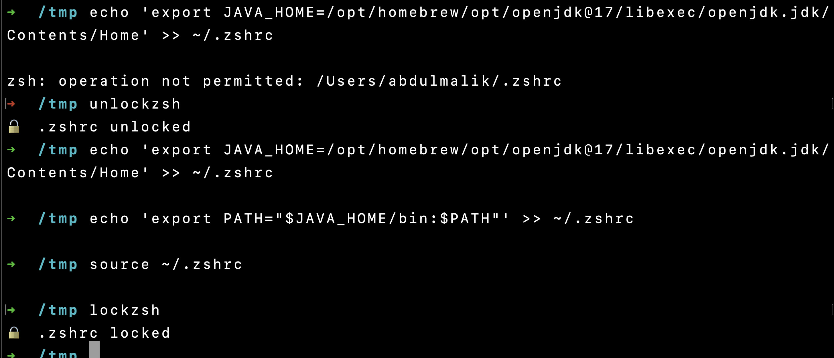 Locking ZSH